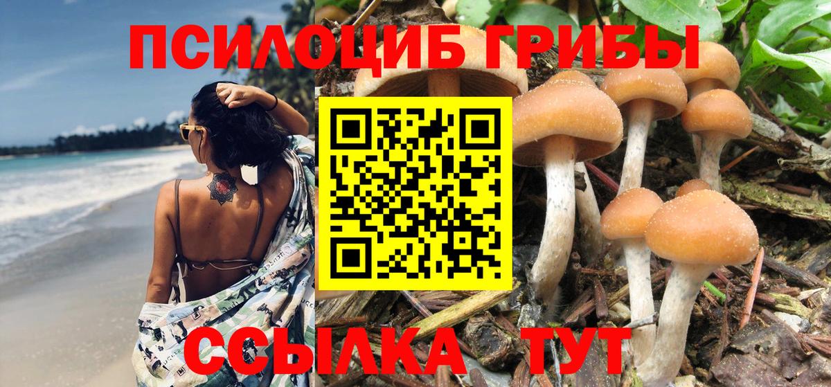 Белореченск  Галлюциногенные грибы MAGIC MUSHROOMS  Вход с VPN 